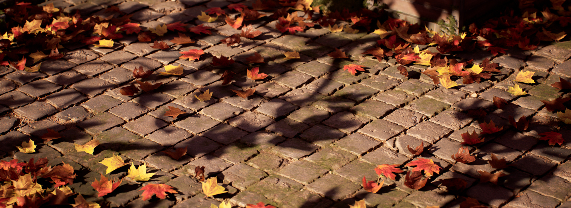 Product banner image