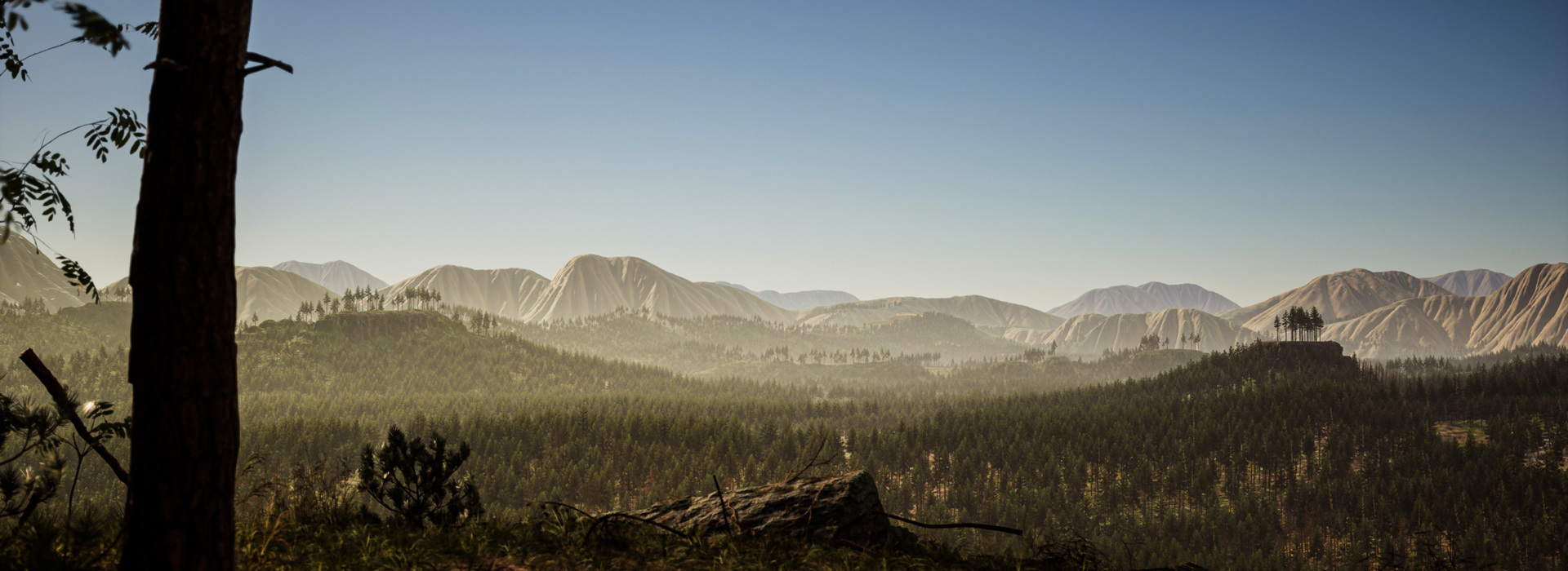 Product banner image