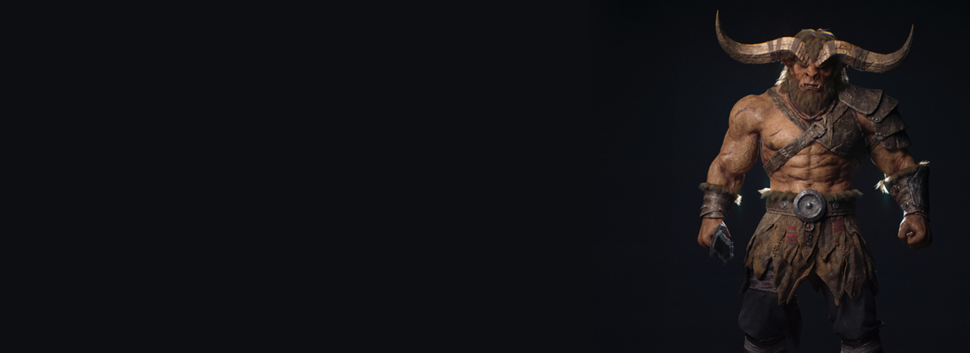 Product banner image