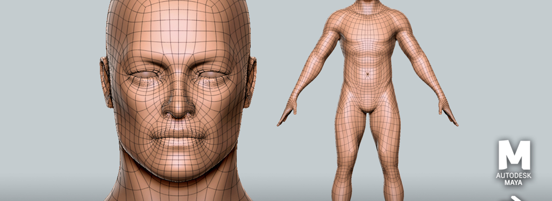 Product banner image