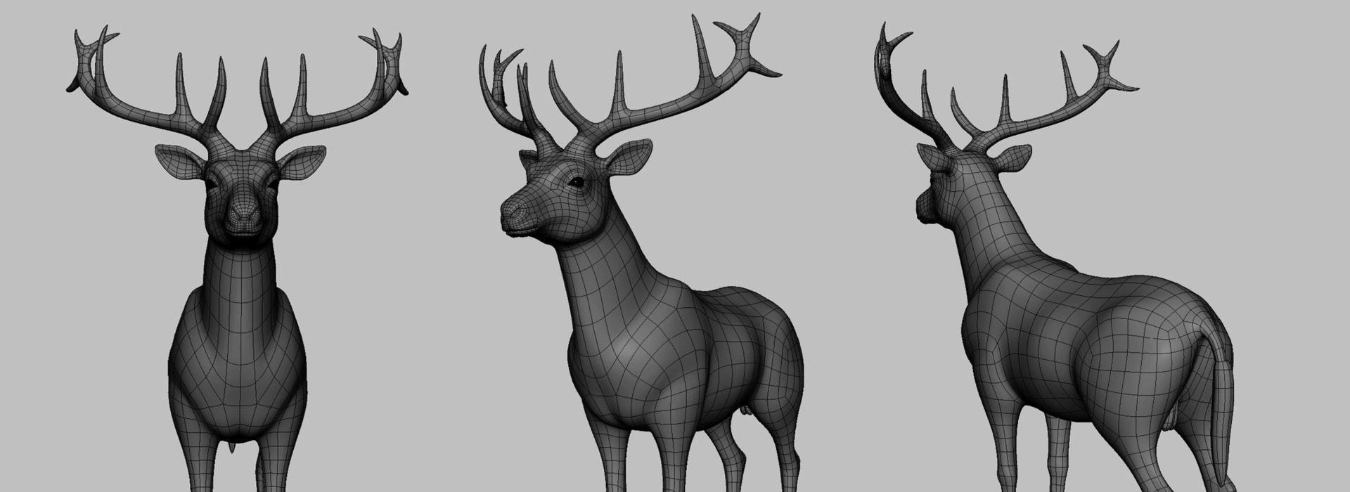 Product banner image