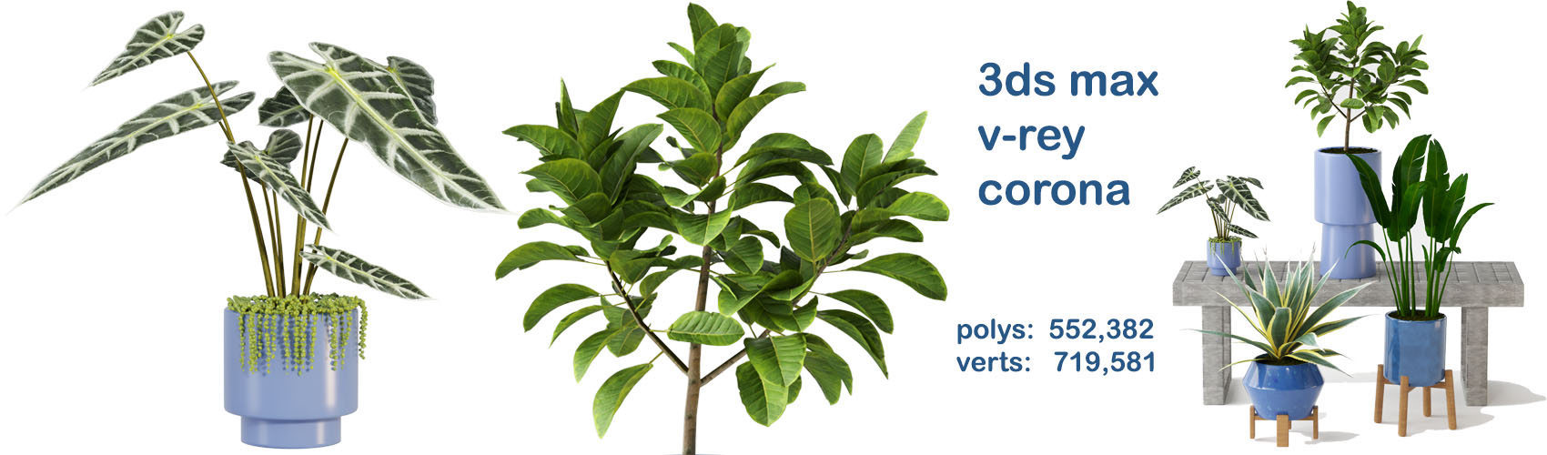 Product banner image