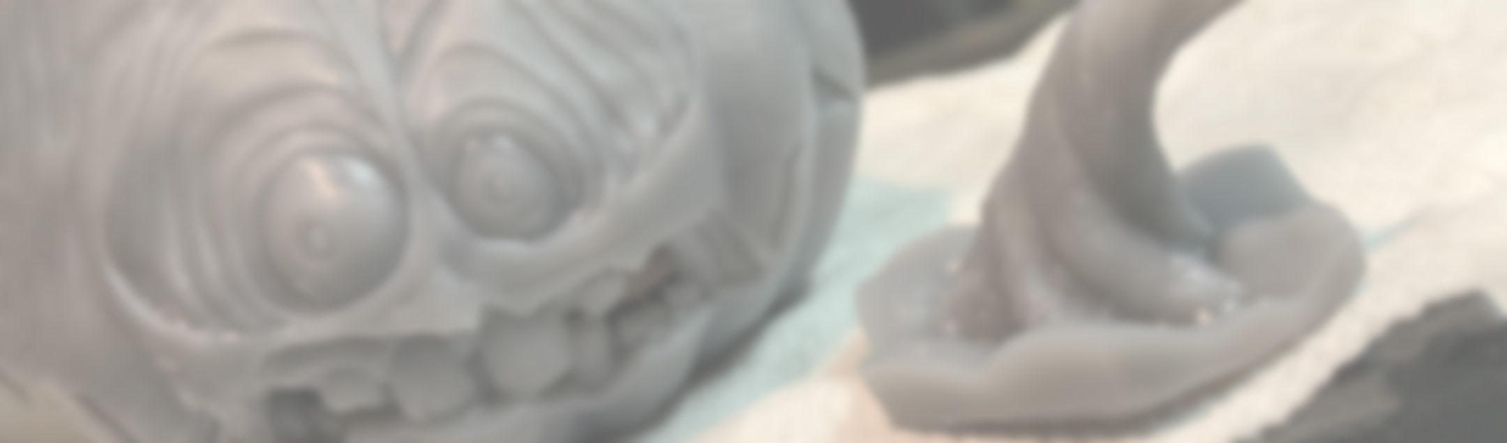 Product banner image