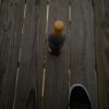 videoofarmer
