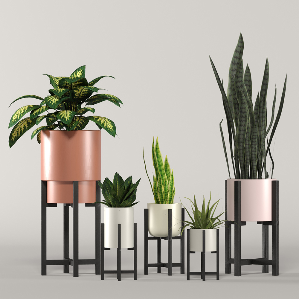 Product banner image