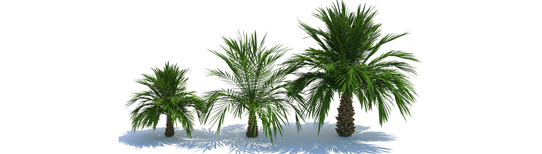 Product banner image