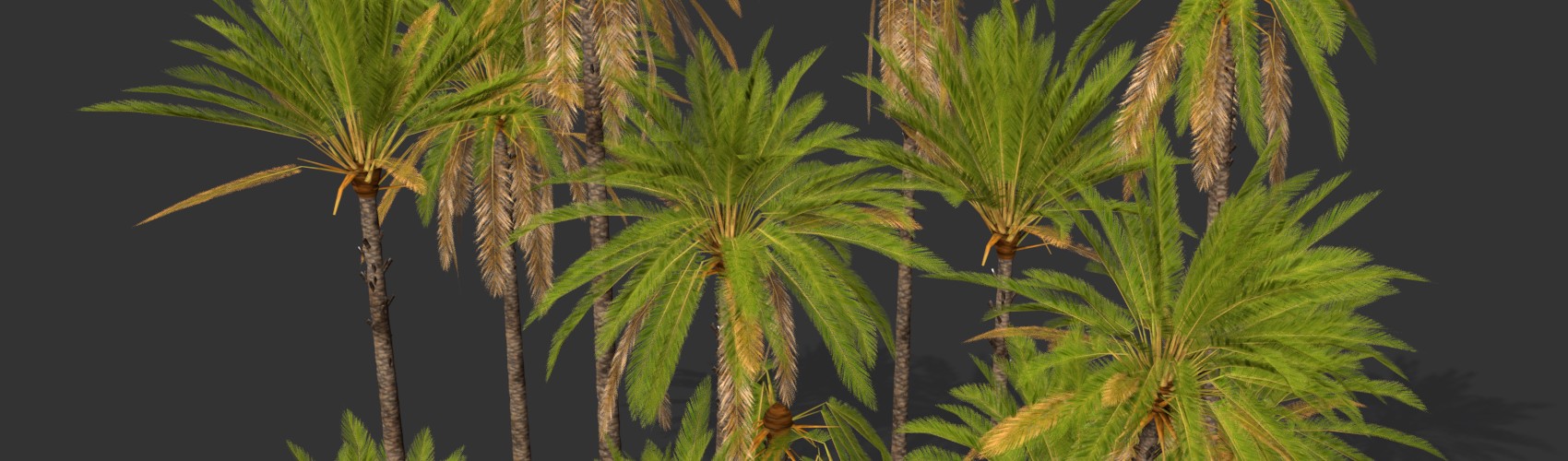 Product banner image