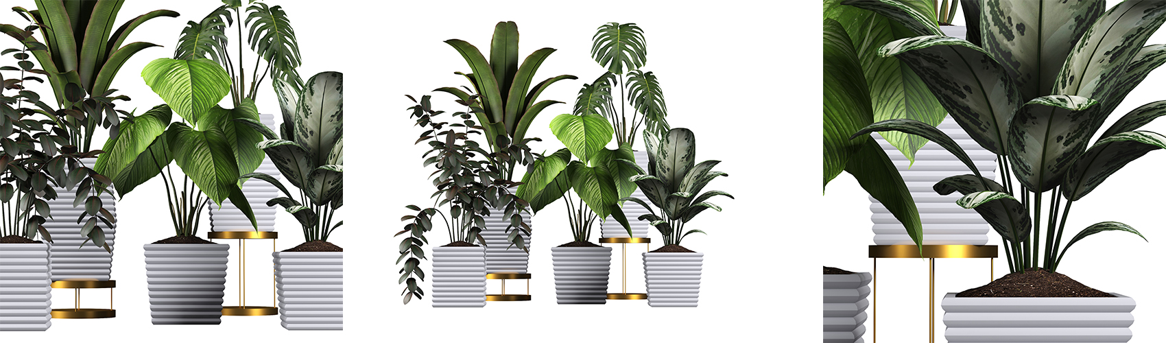 Product banner image