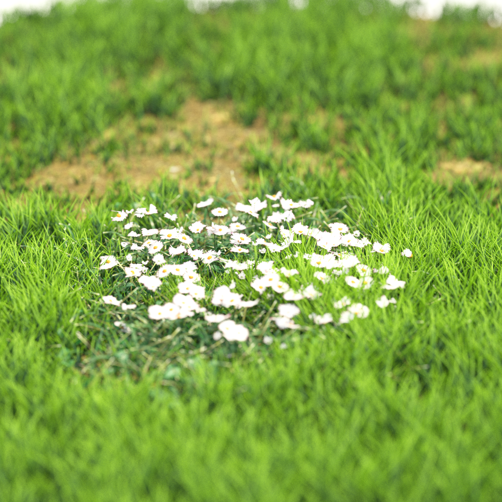 Product banner image