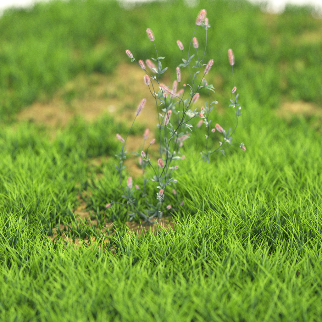 Product banner image