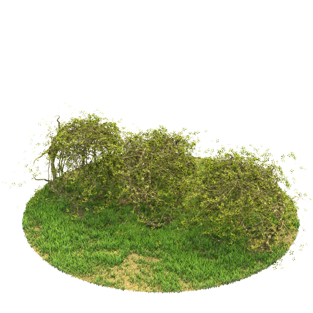 Product banner image