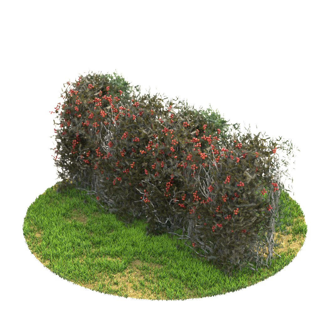 Product banner image