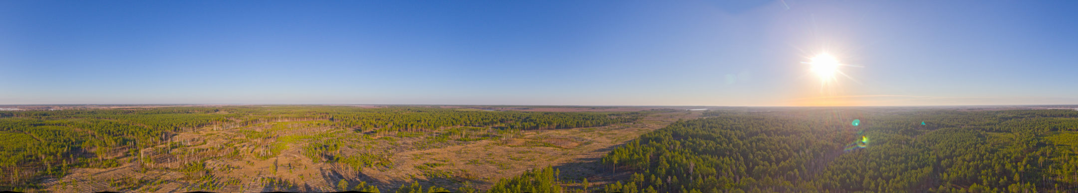 Product banner image