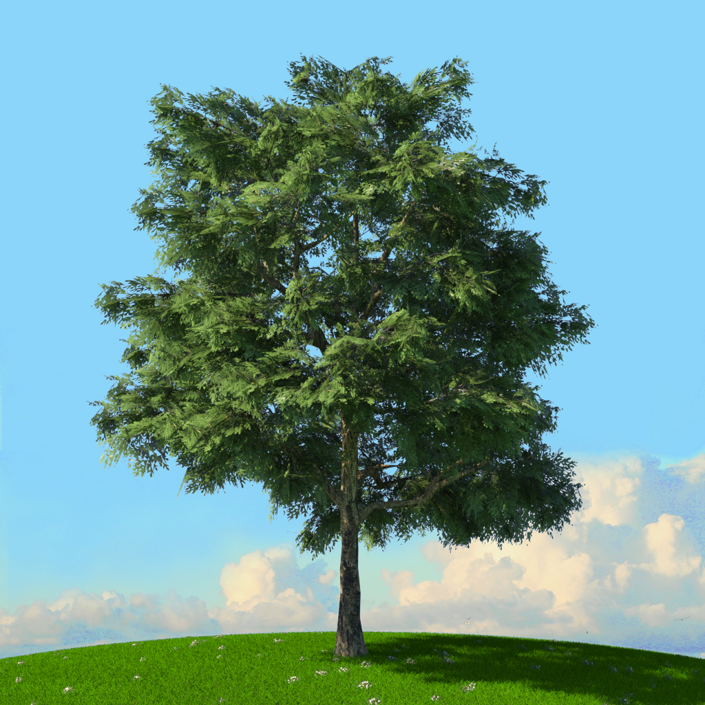 Product banner image