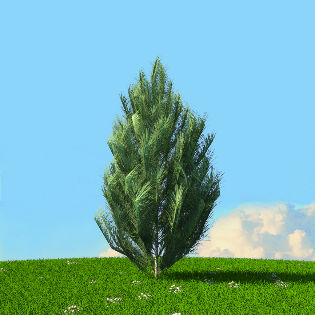 Product banner image