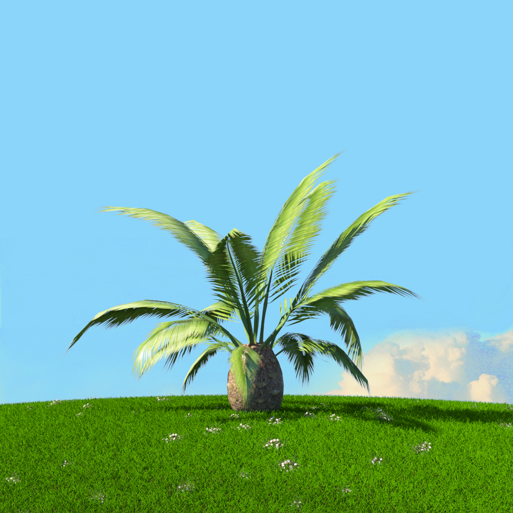 Product banner image