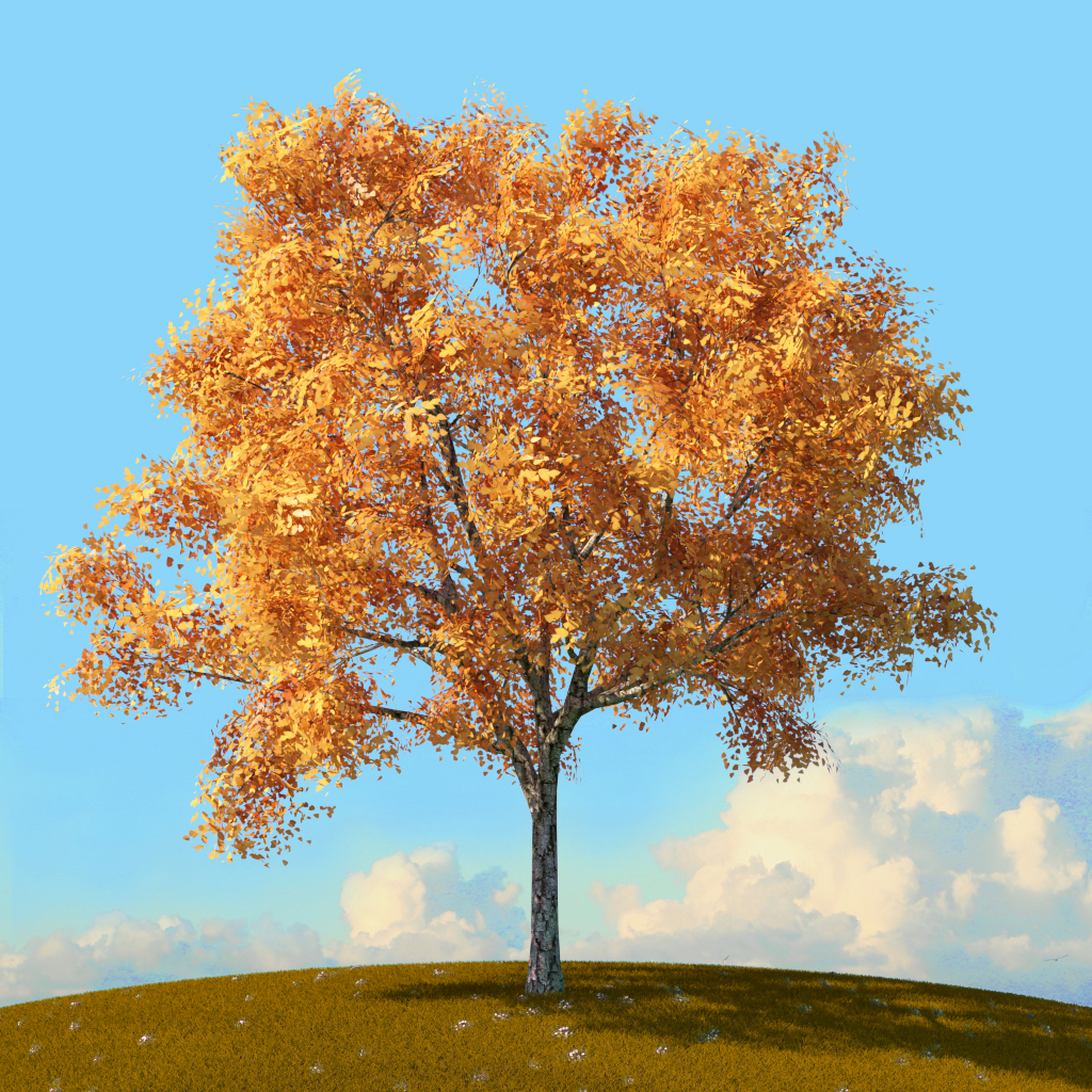 Product banner image