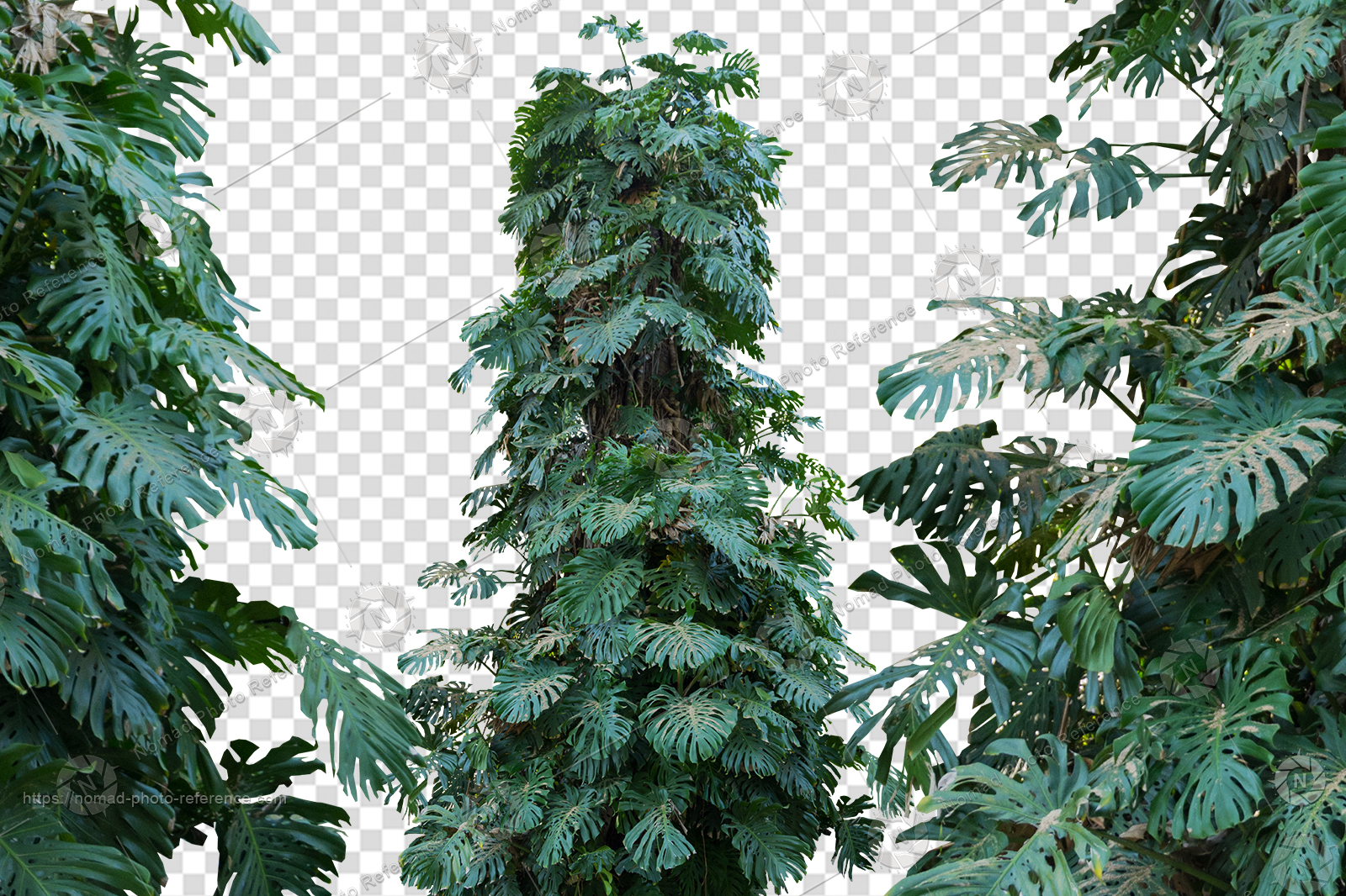 Product banner image