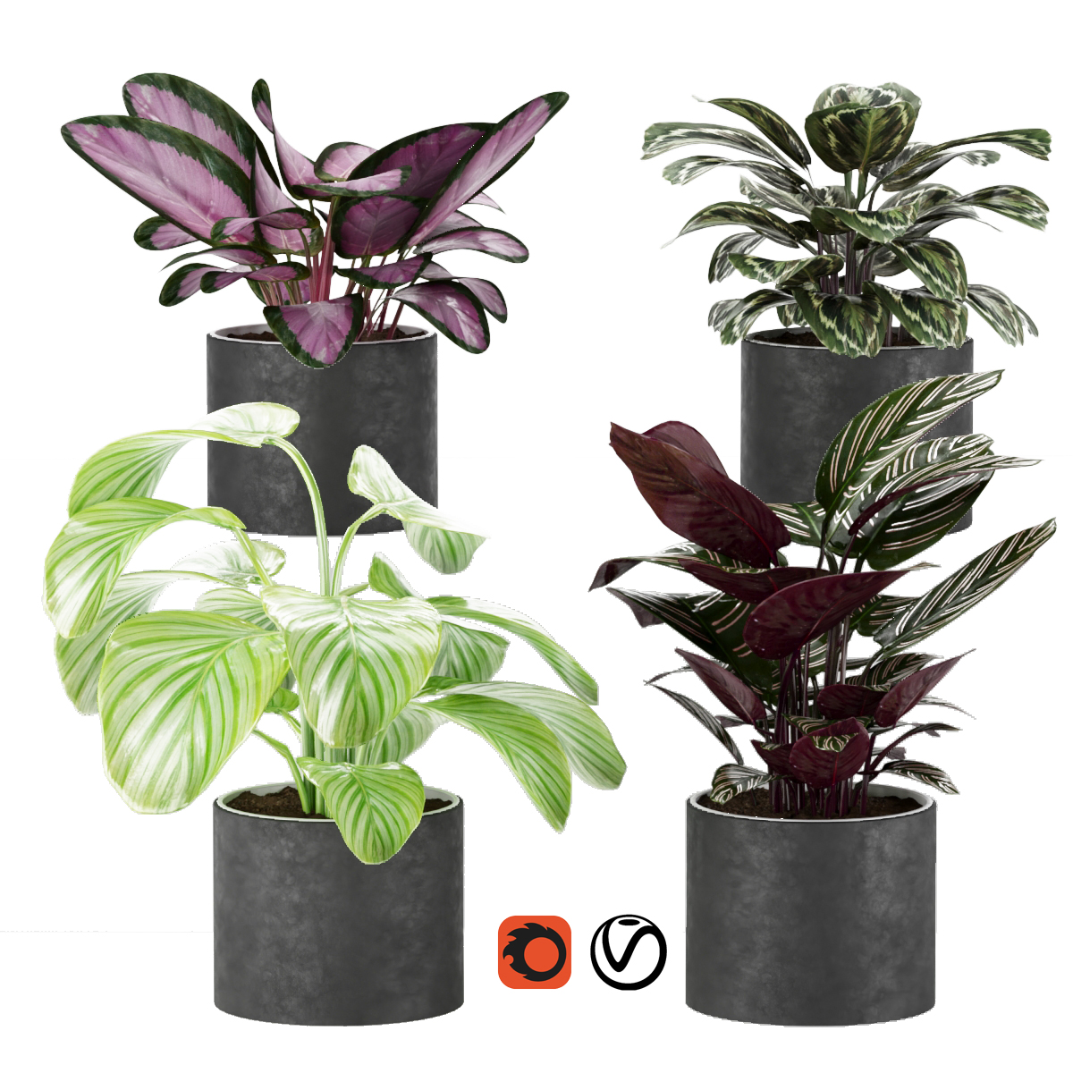 Product banner image