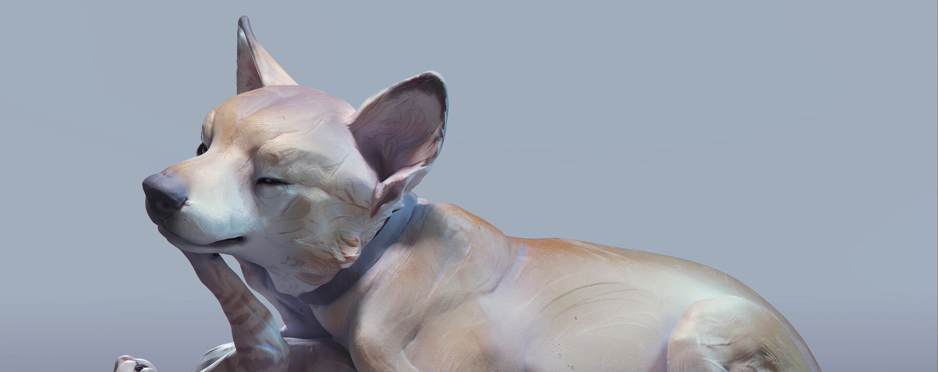 Product banner image