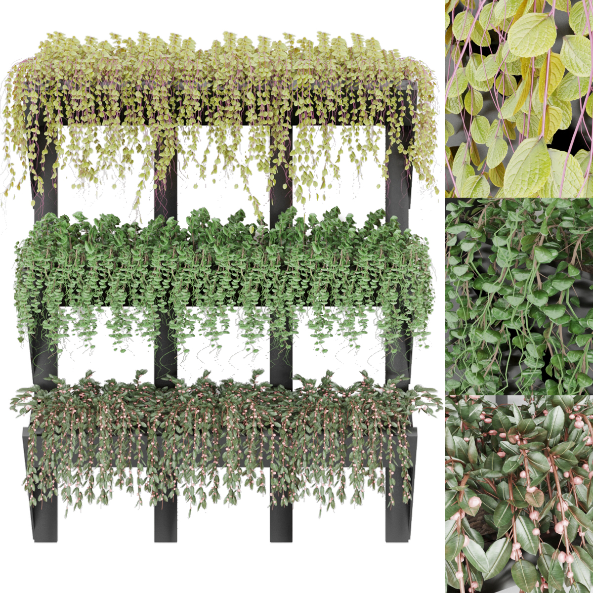 Product banner image