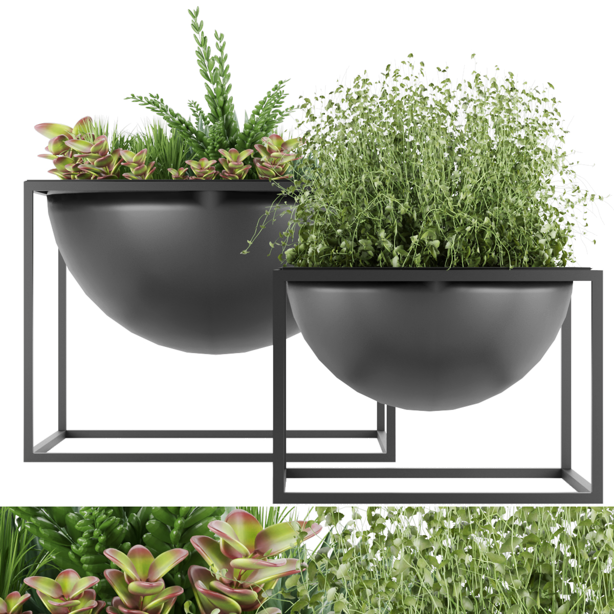 Product banner image