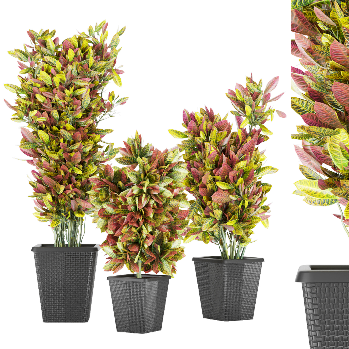 Product banner image