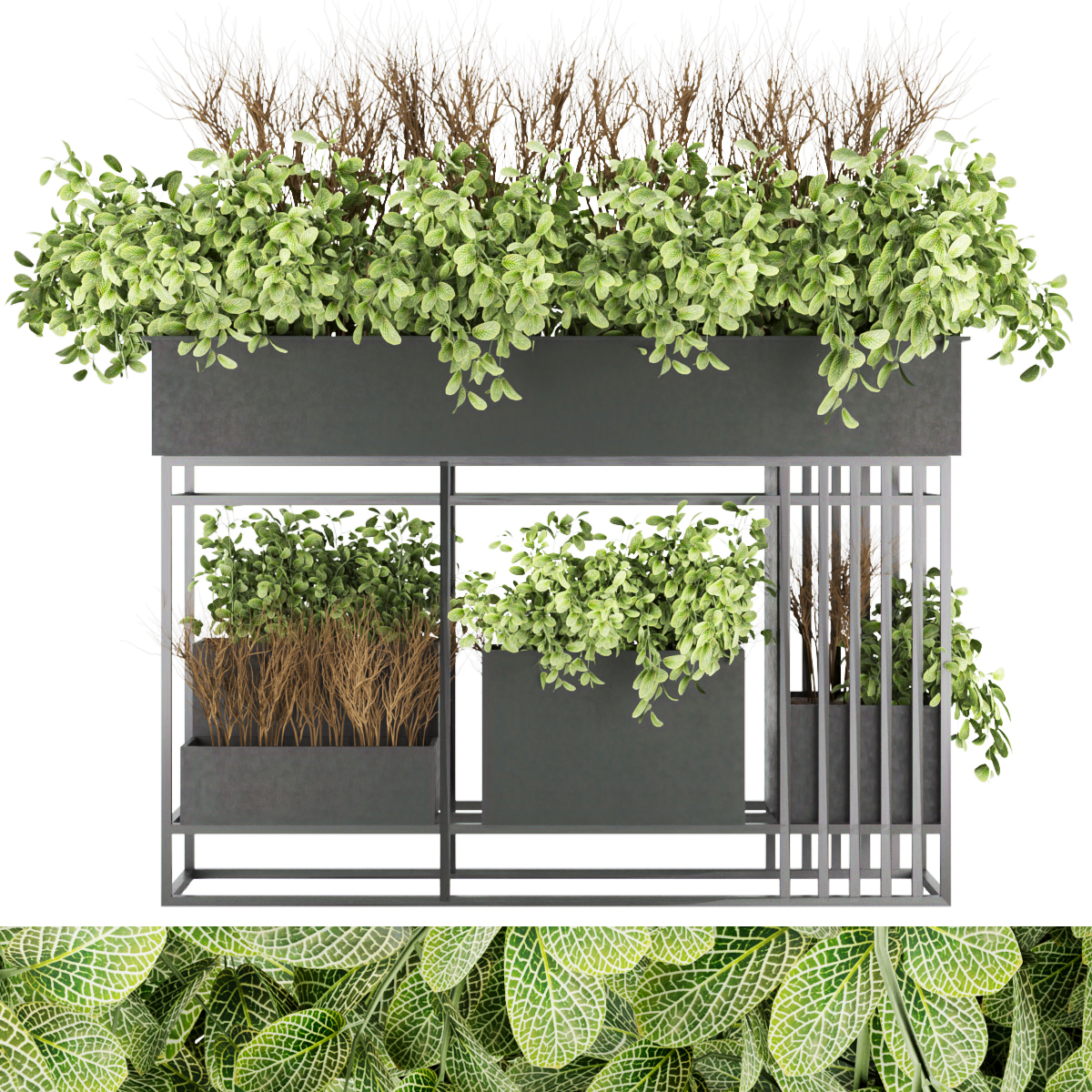 Product banner image
