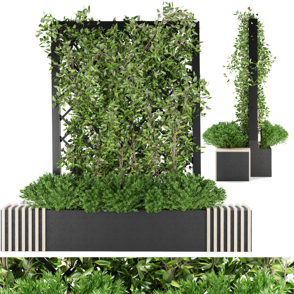 Product banner image