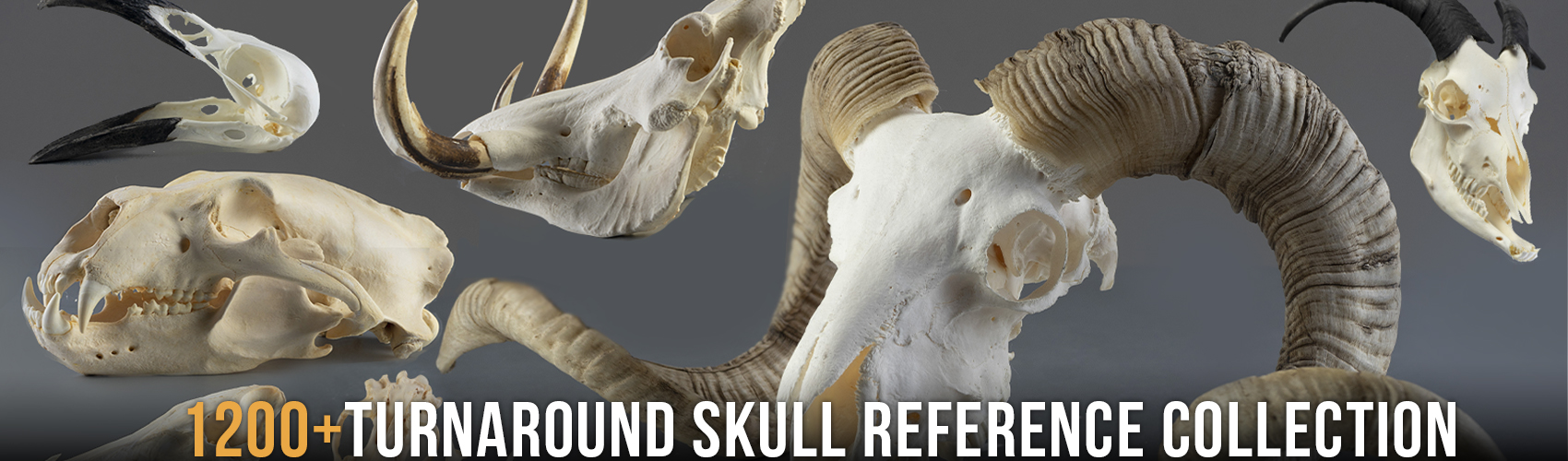 Product banner image