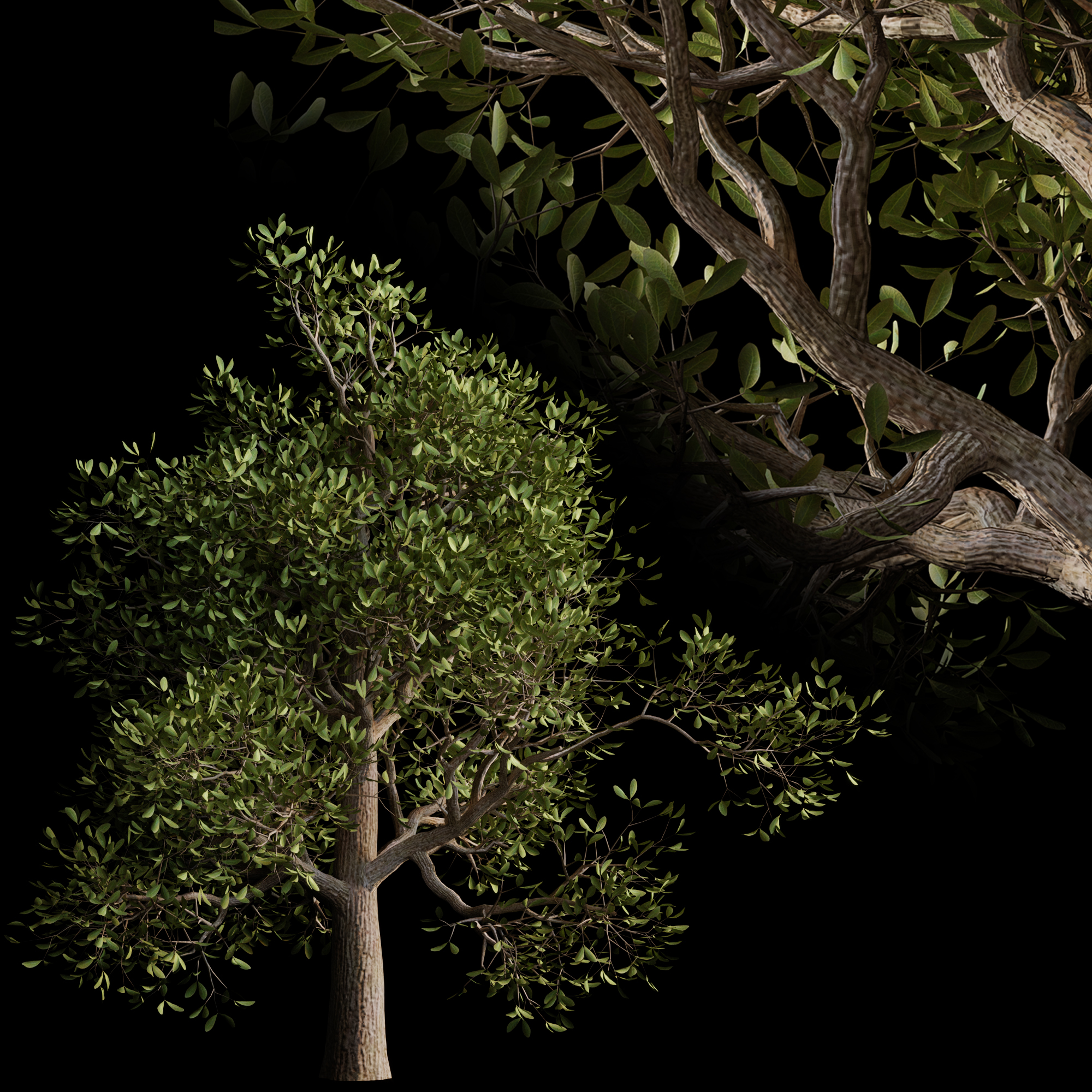 Product banner image