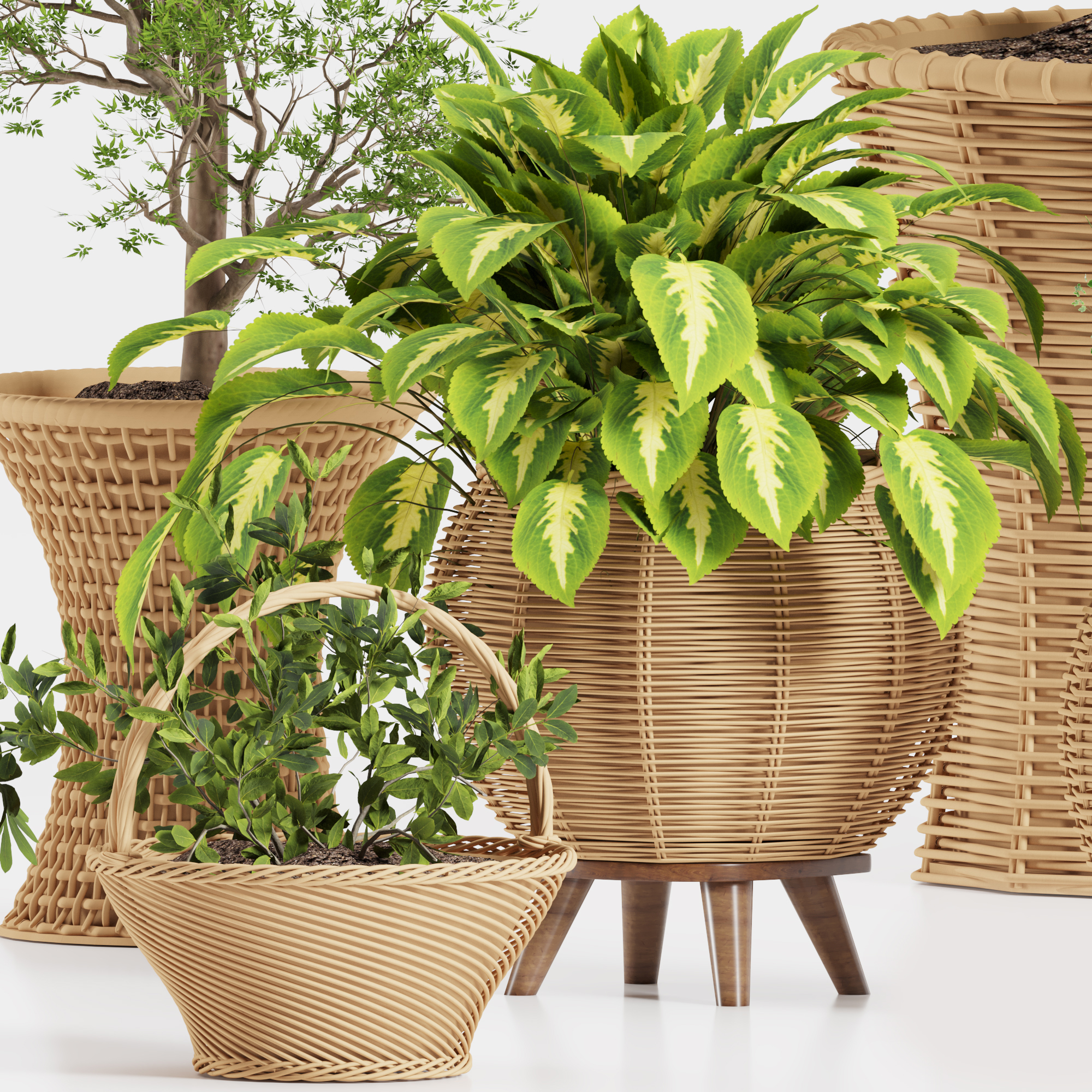 Product banner image
