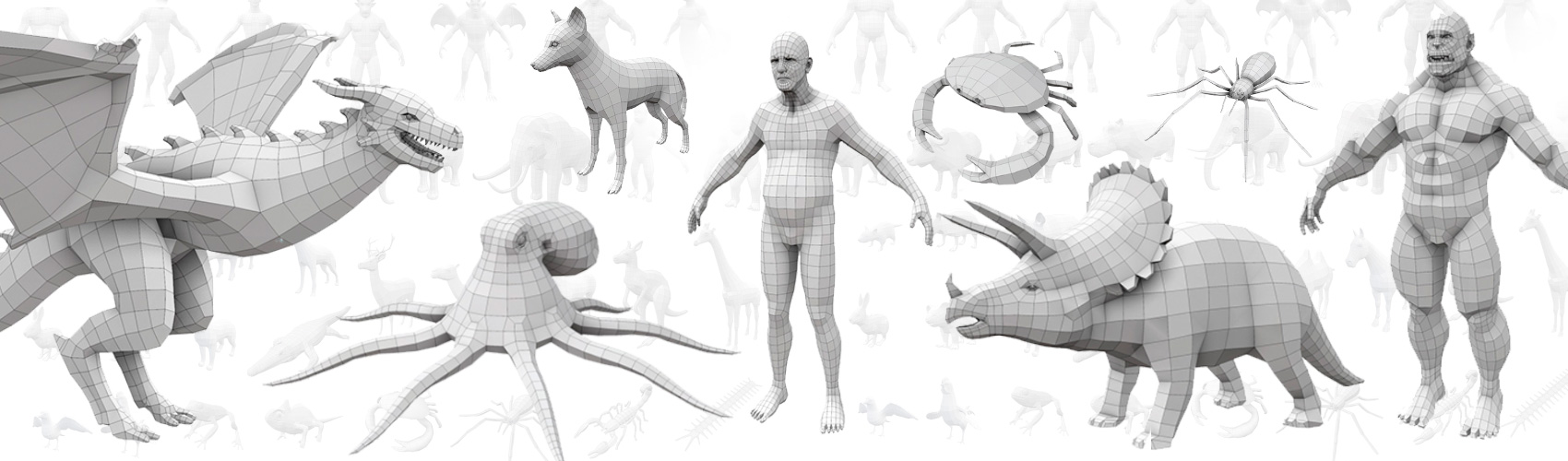 Product banner image