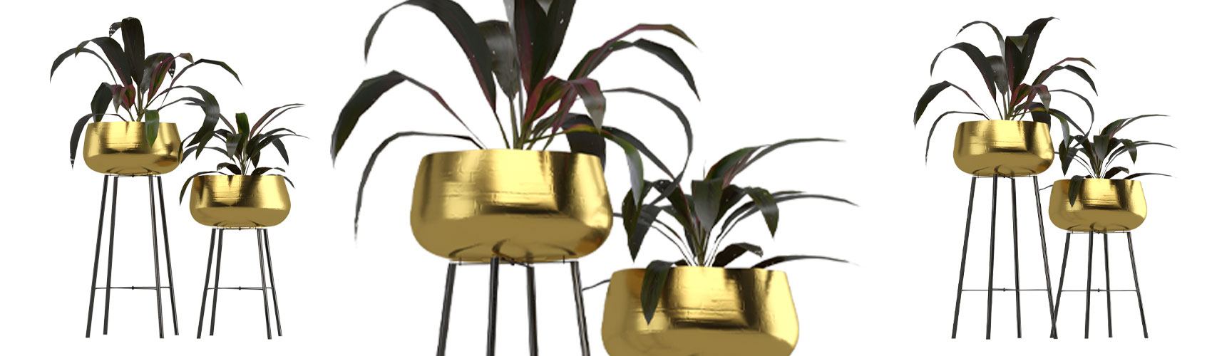 Product banner image