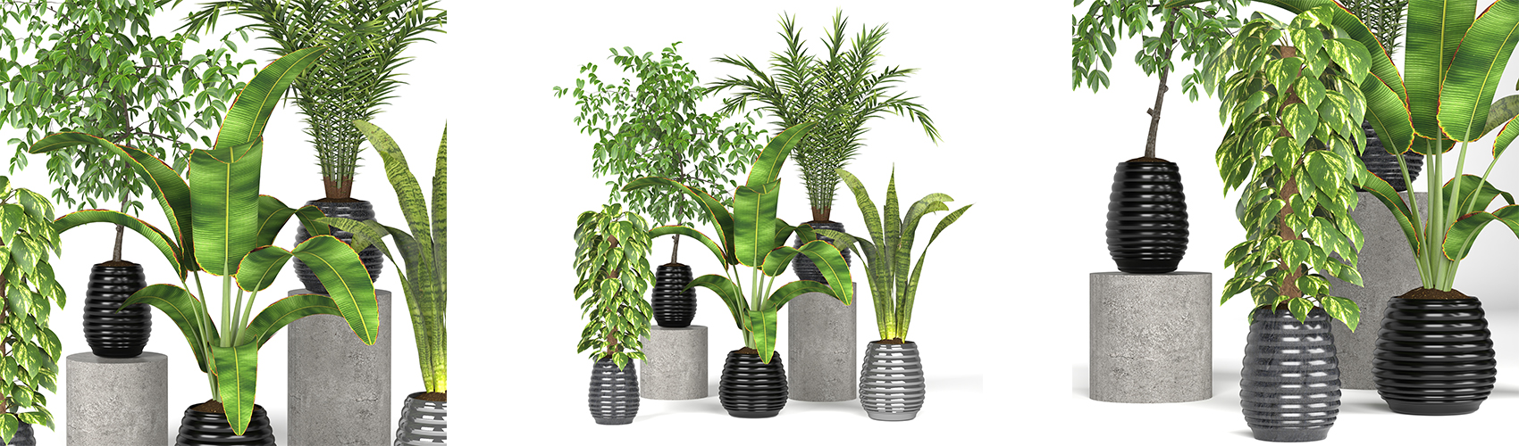 Product banner image