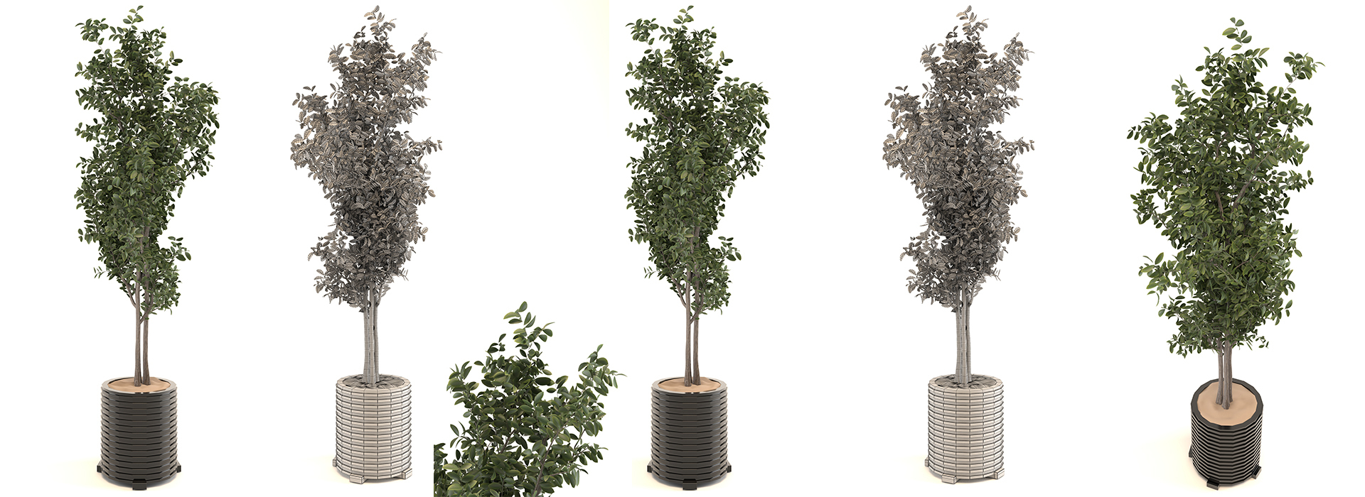 Product banner image