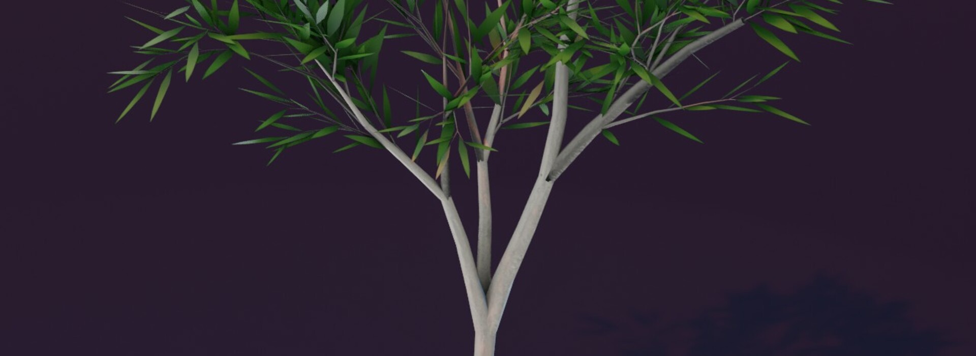 Product banner image