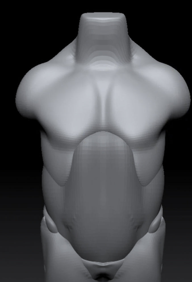 Fundamental Anatomy for Sculptors