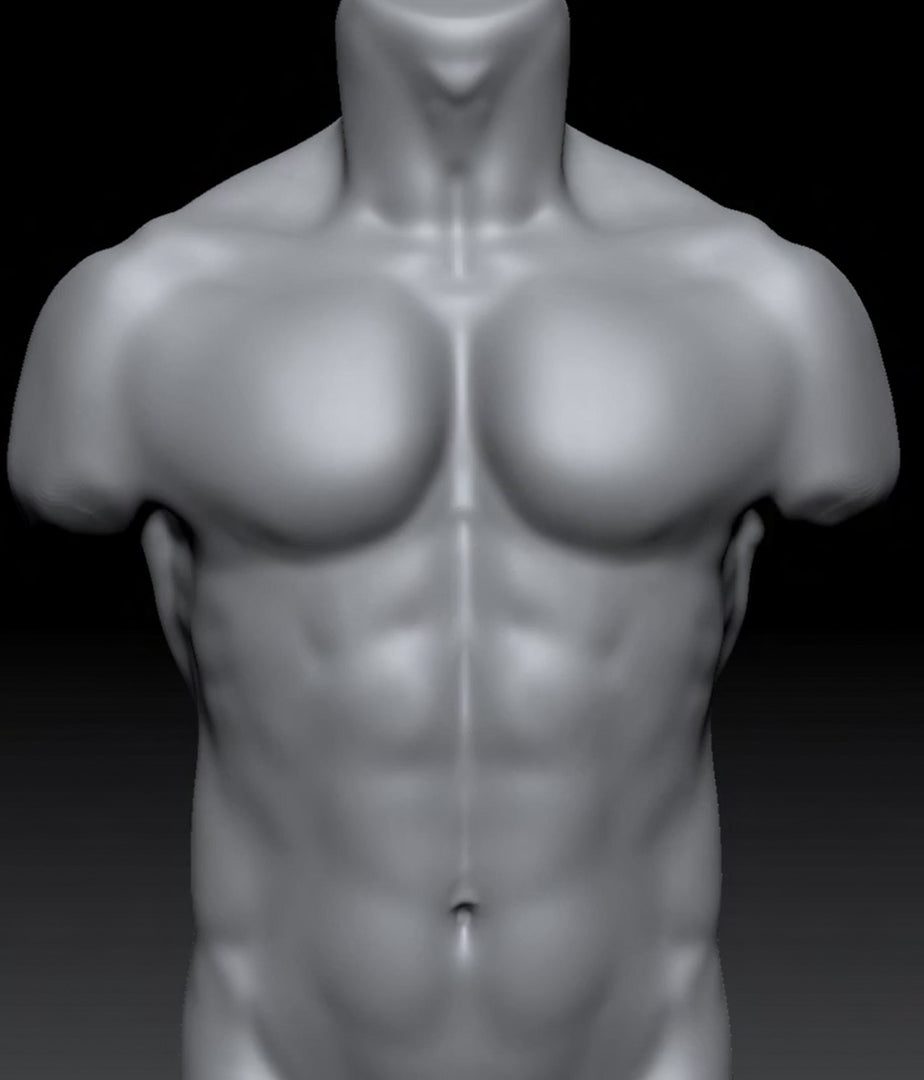Fundamental Anatomy for Sculptors