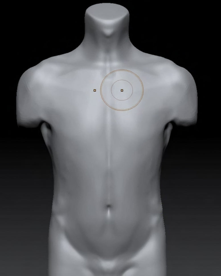 Fundamental Anatomy for Sculptors