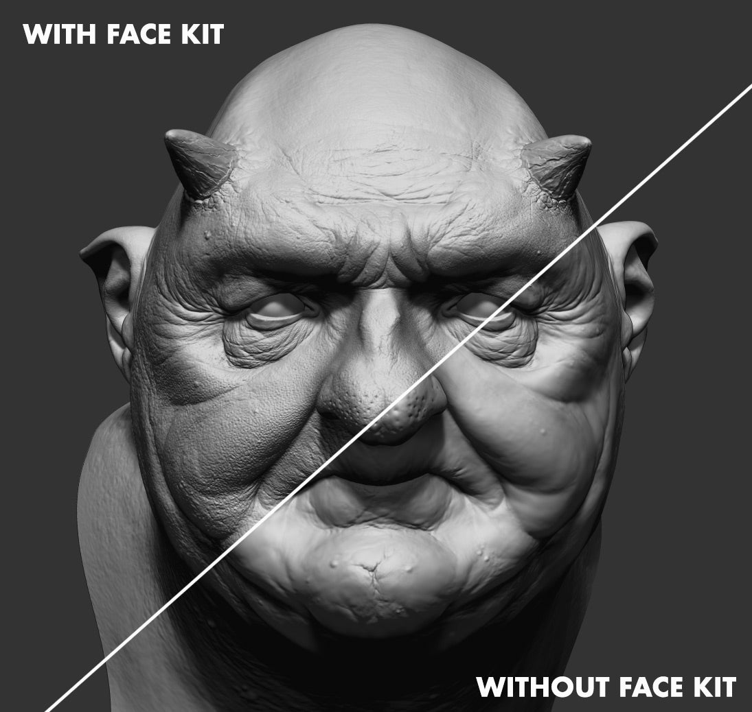 FlippedNormals Face Kit