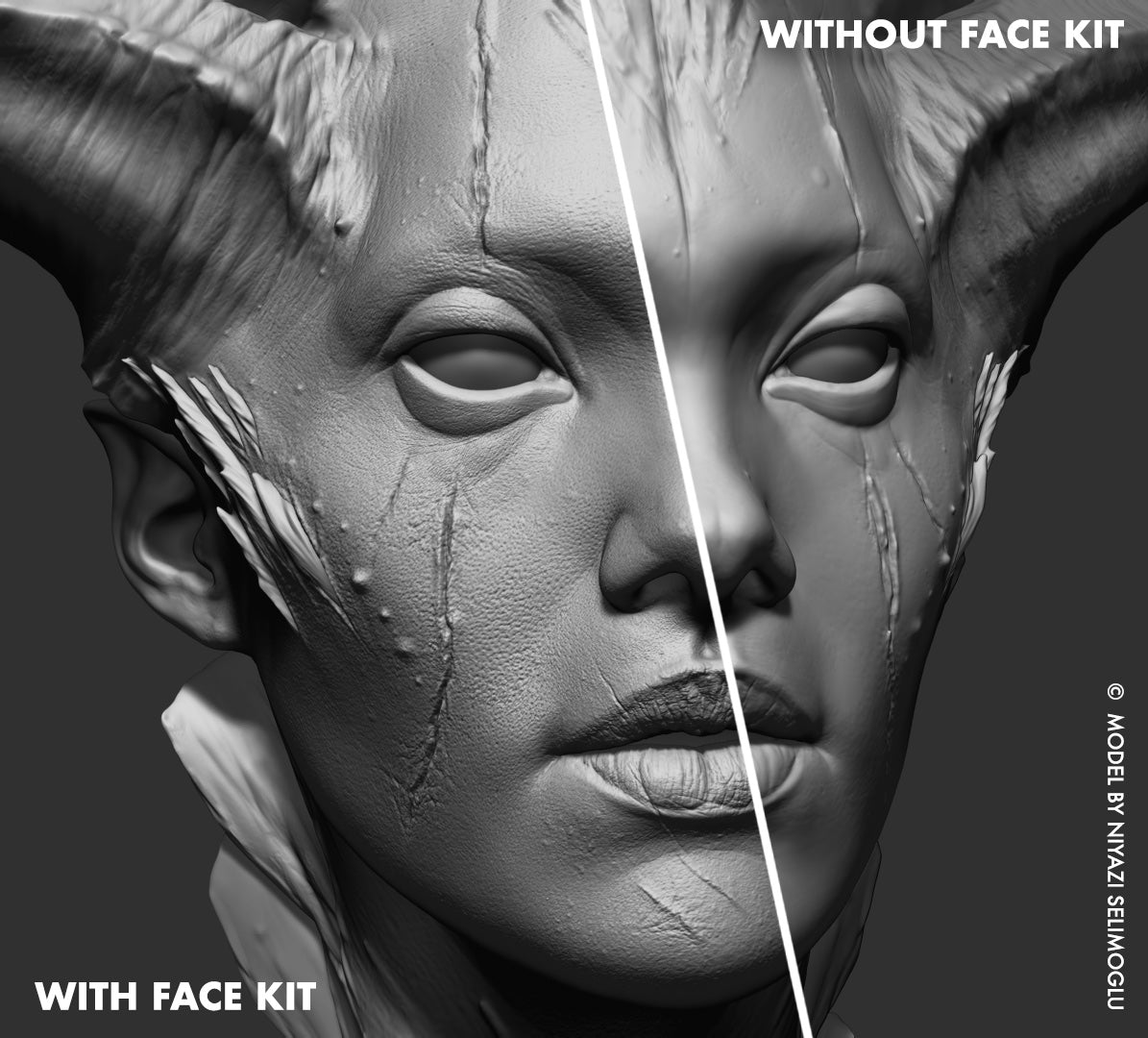 FlippedNormals Face Kit