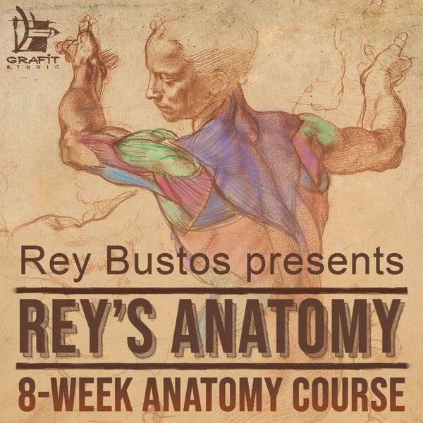 Rey's Anatomy: 8-week Anatomy Course
