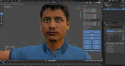 The Blender Rigging FlipBox