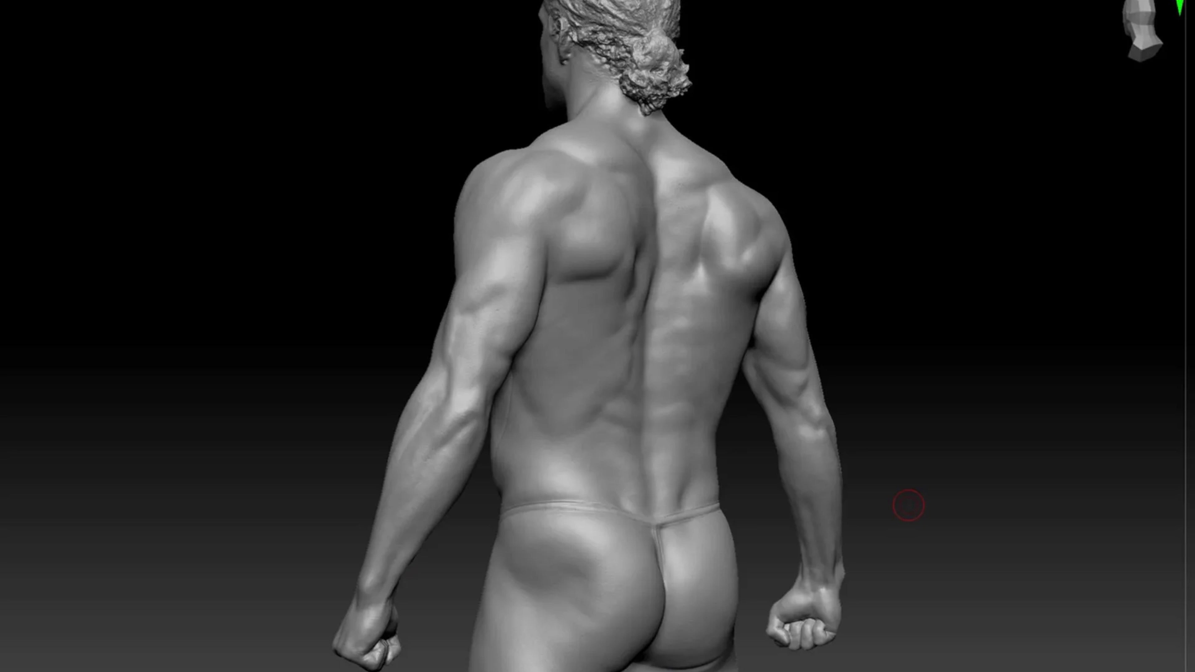 Fundamental Anatomy for Sculptors