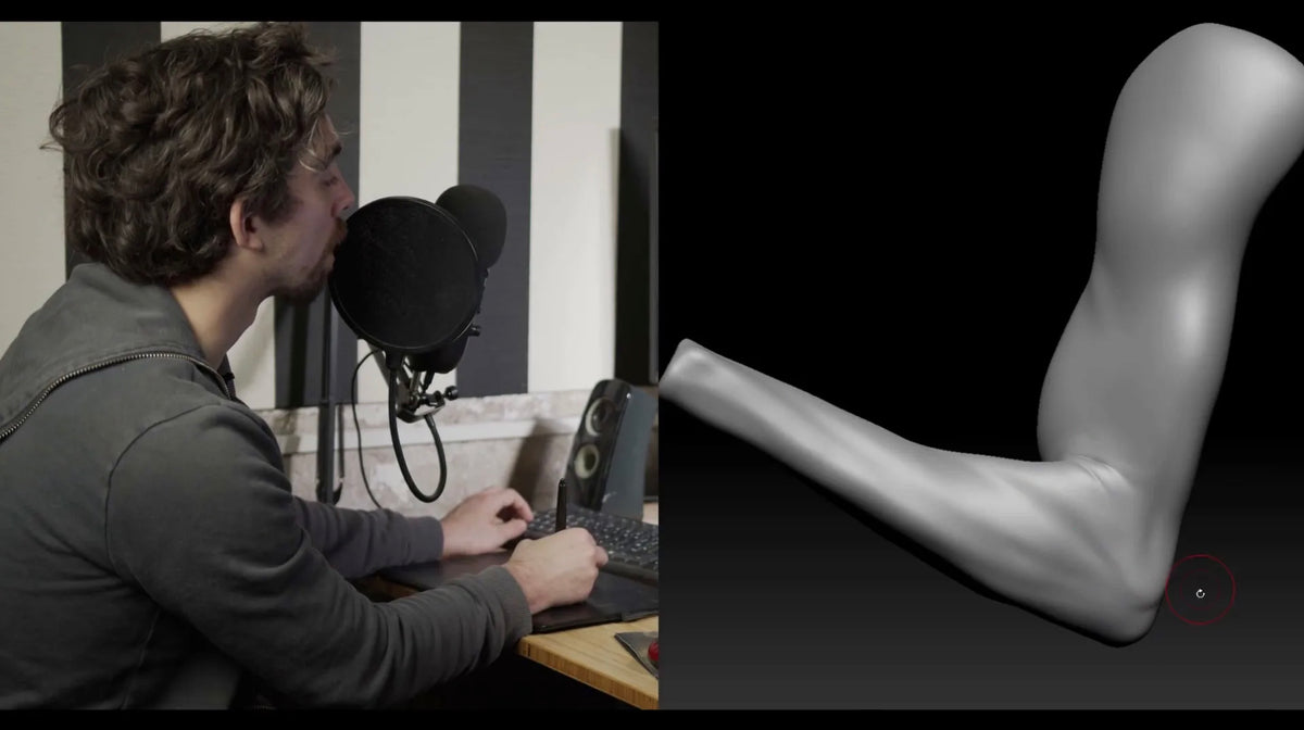 Flipped Normal Fundamental Anatomy for Sculptors – FlippedNormals
