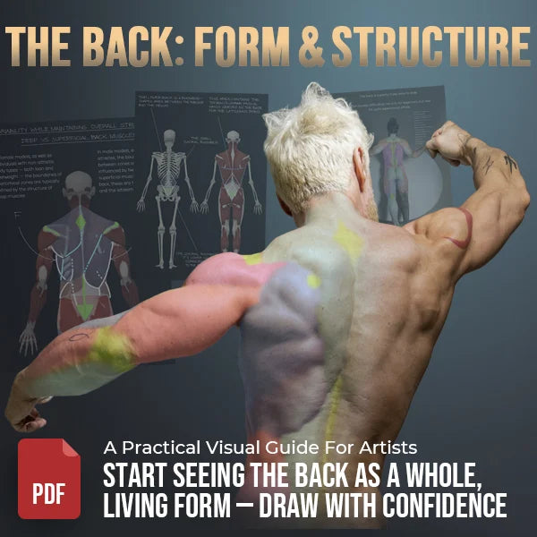The Back: Form & Structure