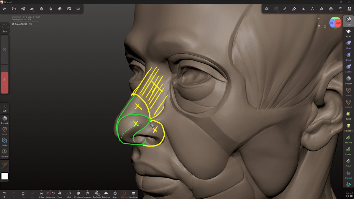 Introduction to Sculpting in Nomad