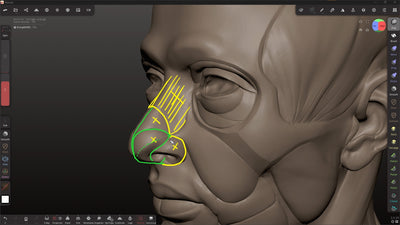 Introduction to Sculpting in Nomad