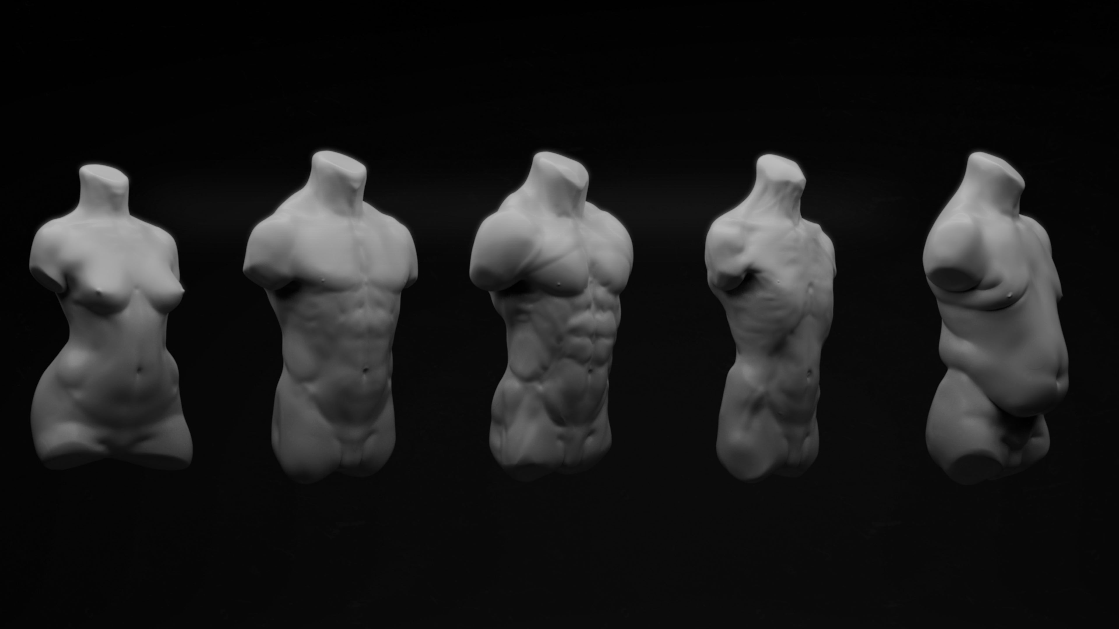 Fundamental Anatomy for Sculptors